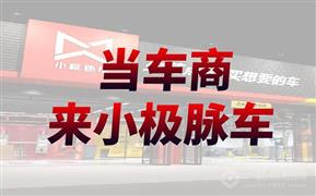 小极脉车