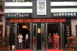 臻溪