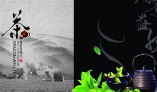 闽福泰茶叶
