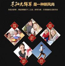 东阳光鲜草