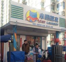 小猫搓衣