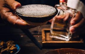 金唢呐酒业
