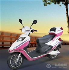 锐宝电动车