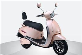 安瑞福电动车