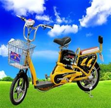 庆雅电动车