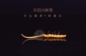 东阳光鲜草