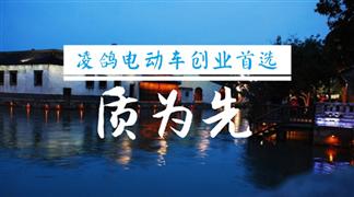 凌鸽电动车