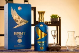 我叫MT