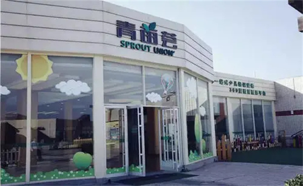 青苗荟