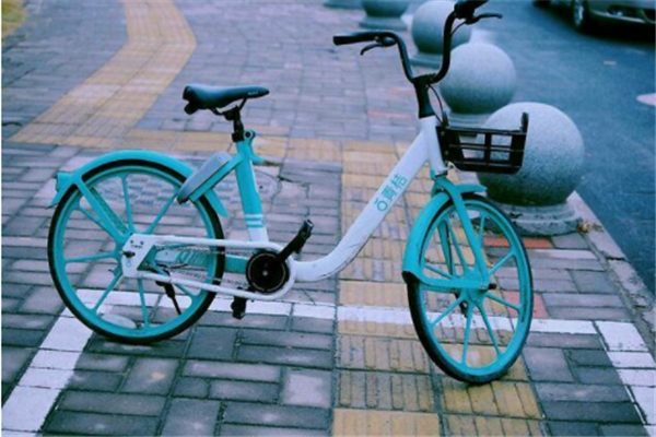 青桔单车