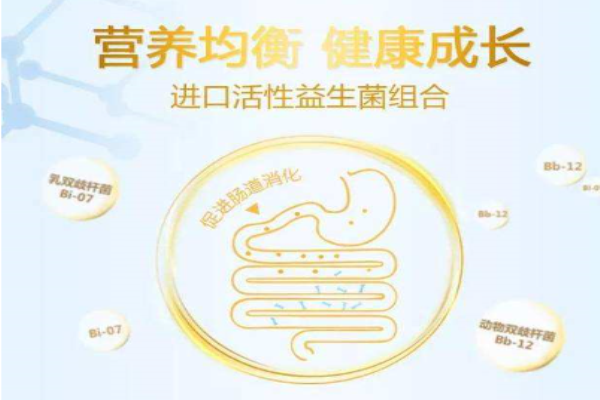 可诺贝儿羊奶粉