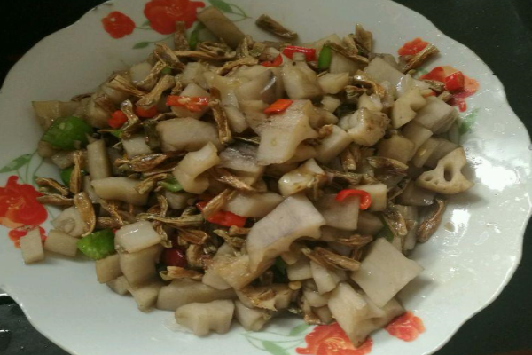 木卜食丁