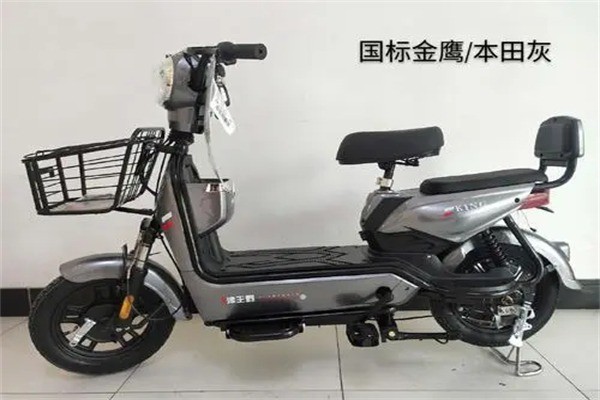 王野电动车