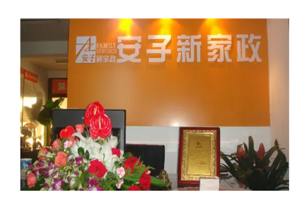 安子新家政