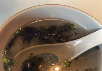 金小悦饭堂