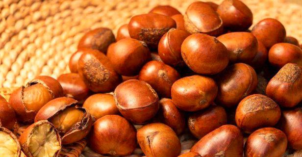 皇粟皇板栗加盟