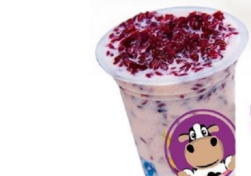 只只酸奶牛加盟