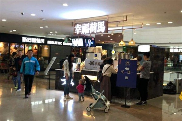 幸福荷马加盟