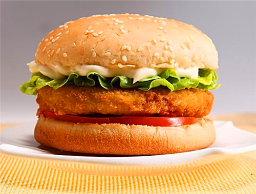 加利士汉堡加盟