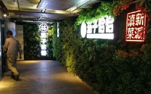 茄子恰恰加盟