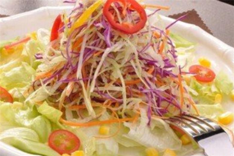 素本道素食餐厅加盟